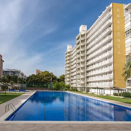 Playa Anaconda - Wellhome Alicante